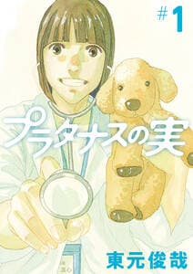 プラタナスの実 書影