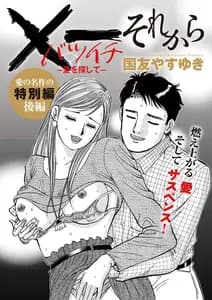 バツイチ 愛を探して それから 書影