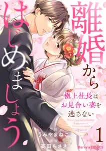 離婚からはじめましょう 書影