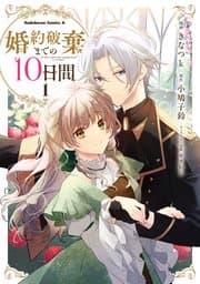 婚約破棄までの10日間 書影