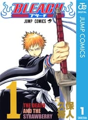 BLEACH モノクロ版 書影
