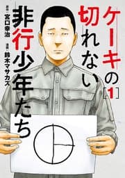 ケーキの切れない非行少年たち 書影