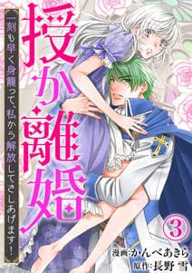 授か離婚 書影