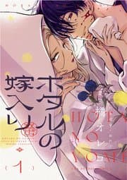 ホタルの嫁入り 書影