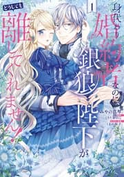 身代わり婚約者なのに、銀狼陛下がどうしても離してくれません！ 書影