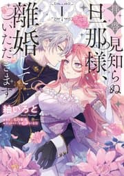 拝啓見知らぬ旦那様、離婚していただきます 書影