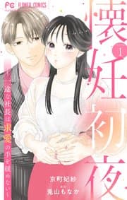 懐妊初夜 書影
