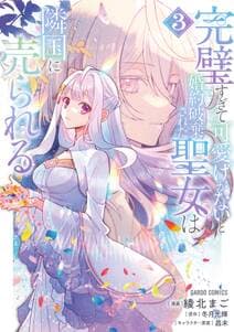 完璧すぎて可愛げがないと婚約破棄された聖女は隣国に売られる 書影