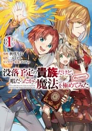 没落予定の貴族だけど、暇だったから魔法を極めてみた 書影