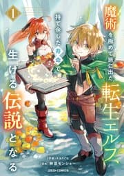 魔術を極めて旅に出た転生エルフ、持て余した寿命で生ける伝説となる 書影