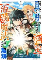Sランクパーティーを無能だと追放されたけど、【鑑定】と【治癒魔法】で成り上がり無双 書影
