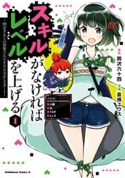 スキルがなければレベルを上げる 書影