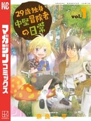29歳独身中堅冒険者の日常 書影