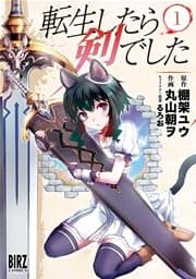 転生したら剣でした 書影